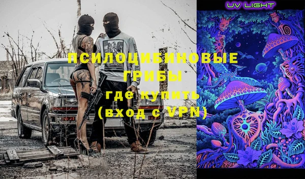 дмт Богородицк