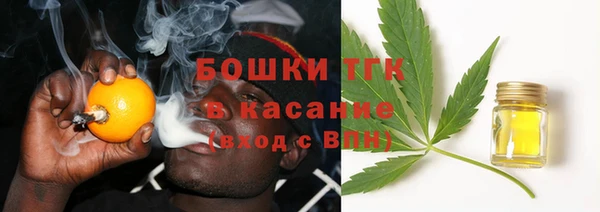 дмт Богородицк