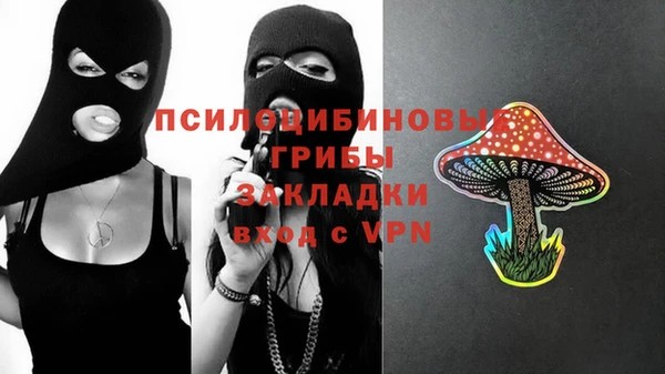 дмт Богородицк